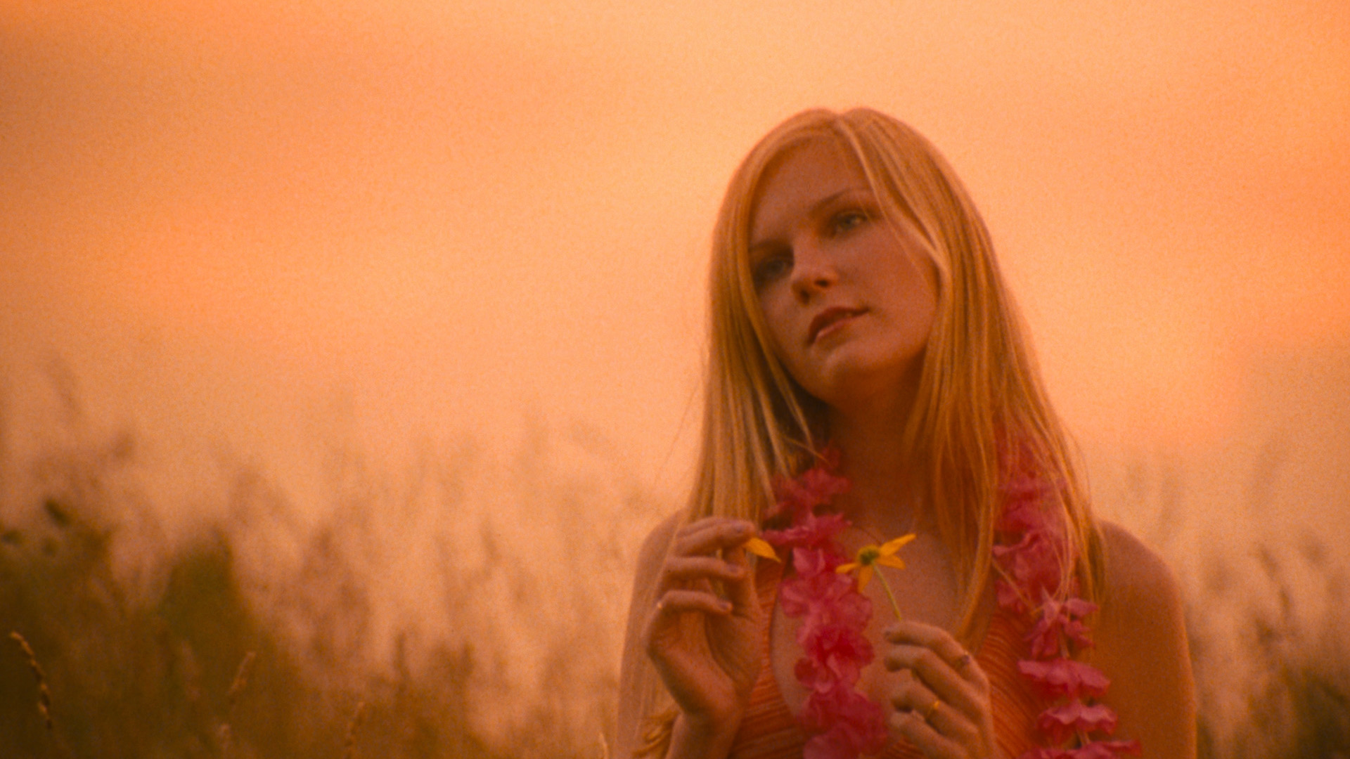 Virgin Suicides © 1999 Virgin Suicides LLC