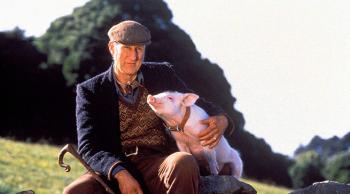  "Babe, le cochon devenu berger" © Collection Christophel 