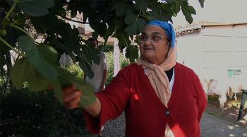  Un figuier au pied du terril © Tribu Documentaires 