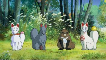 Pompoko © Collection Christophe L 