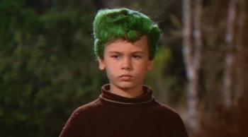  Le Garcon aux cheveux verts Le Garcon aux cheveux verts © Archeo-Pictures 