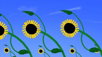 Tournesol-@Folimage