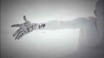 Snowblind