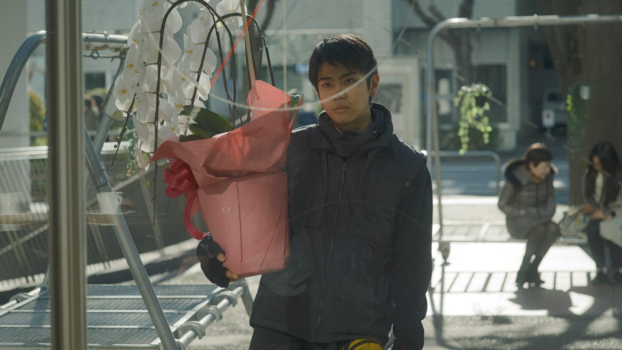 Des fleurs pour Tokyo (Brand New Landscape) © Luxbox 