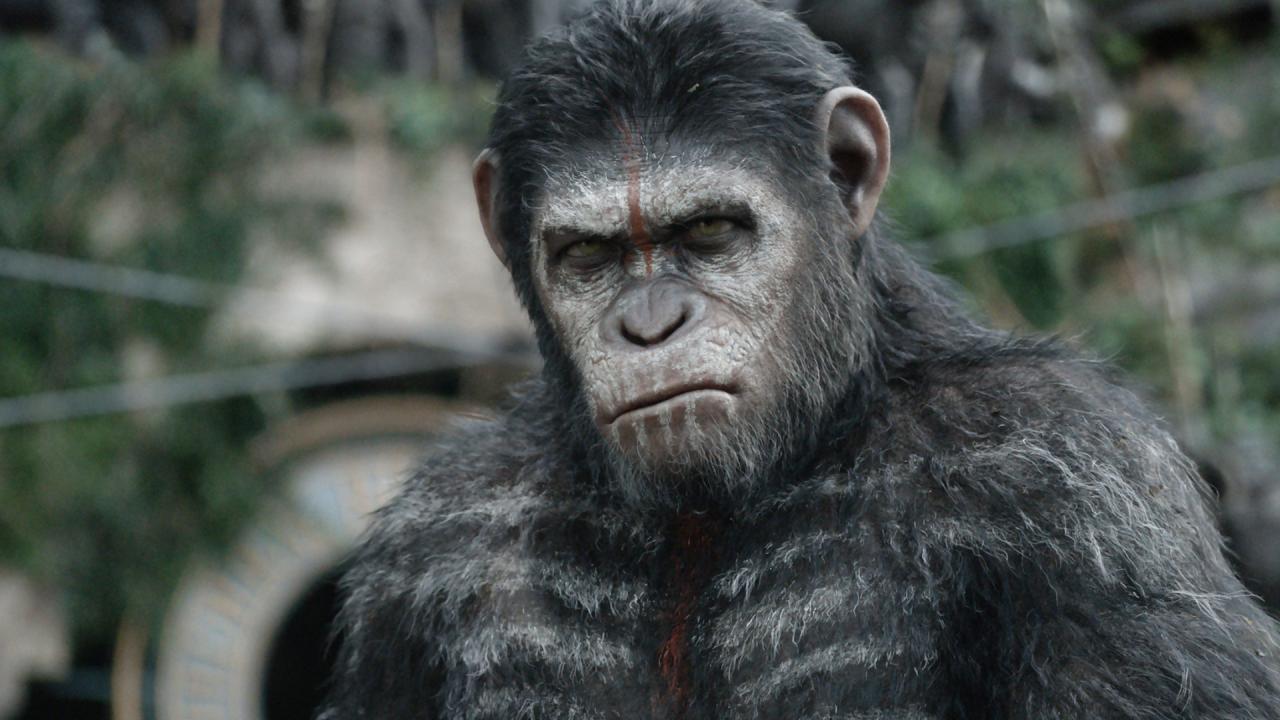 La Planète des singes L’Affrontement