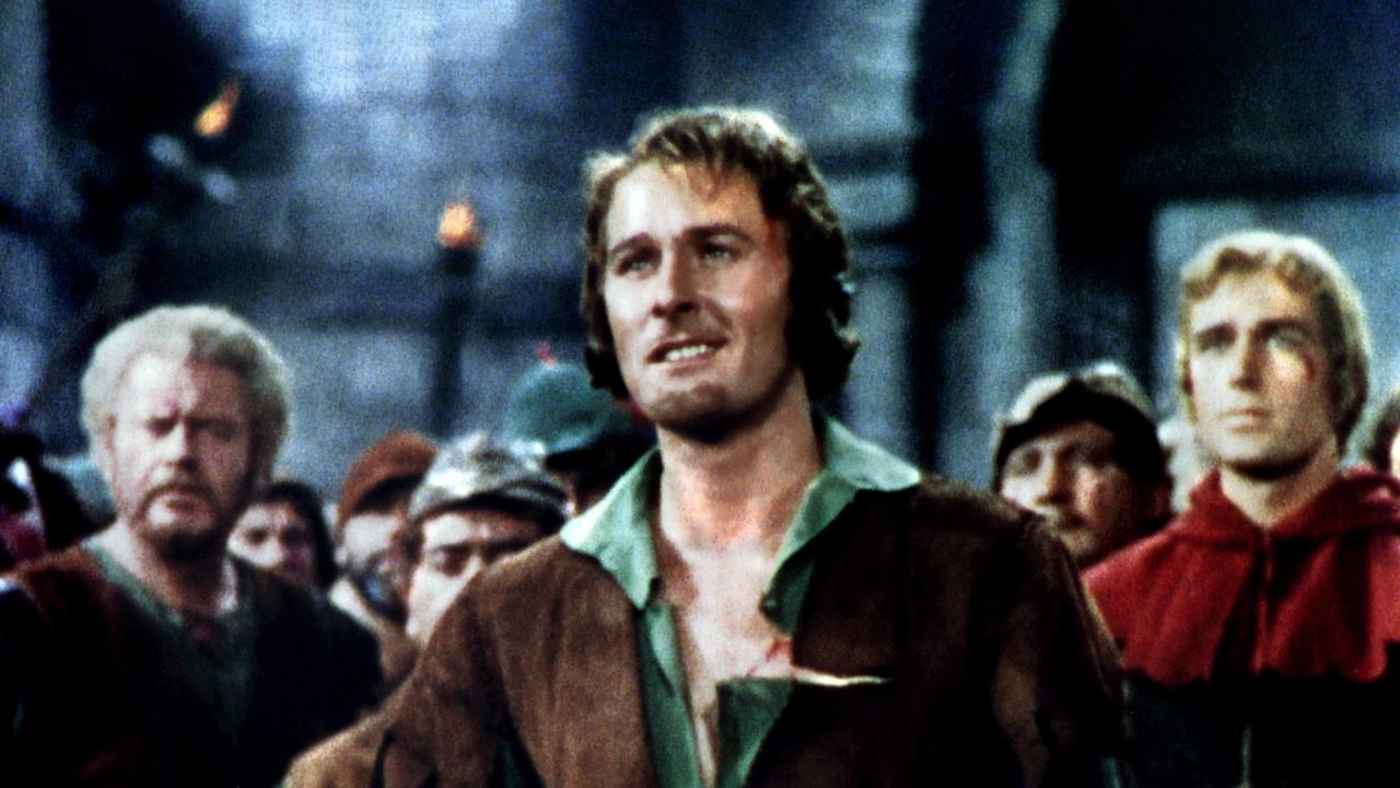 Robin des bois