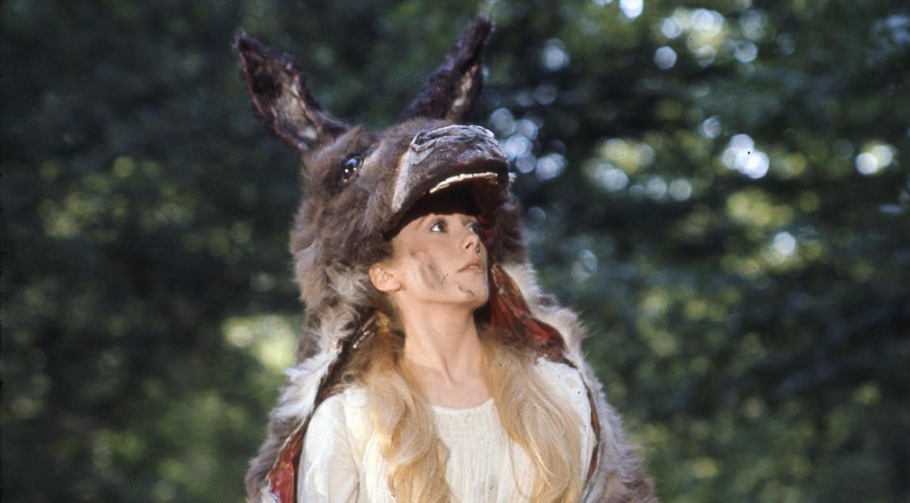 Peau d'Âne