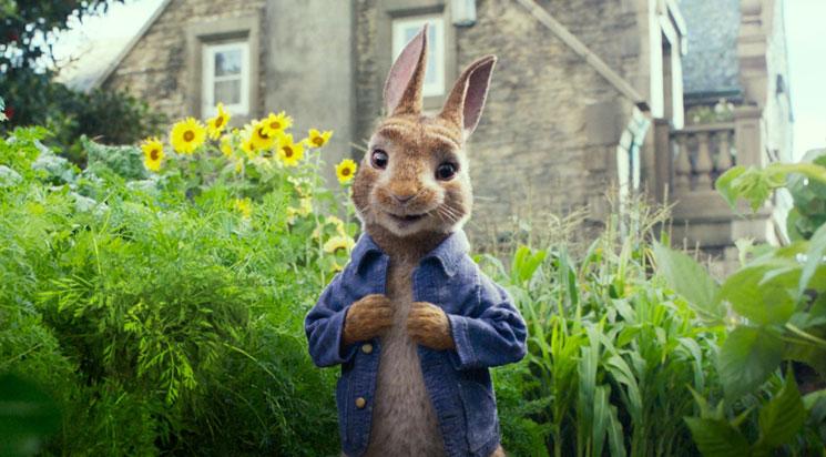 Pierre Lapin // annulé