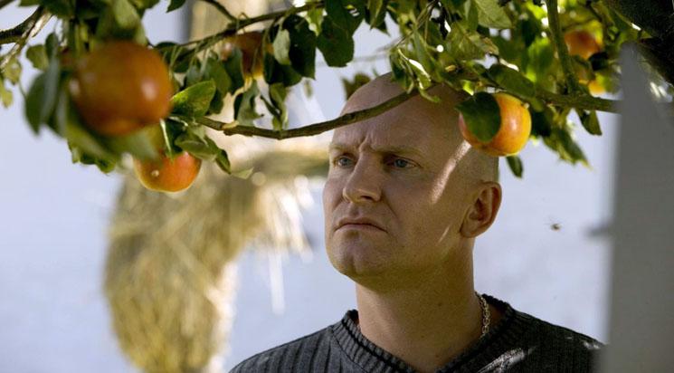 Adam's Apples