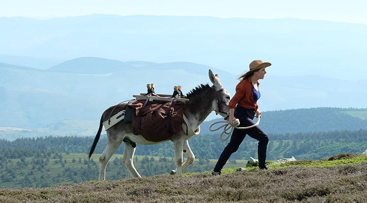 Antoinette dans les Cévennes