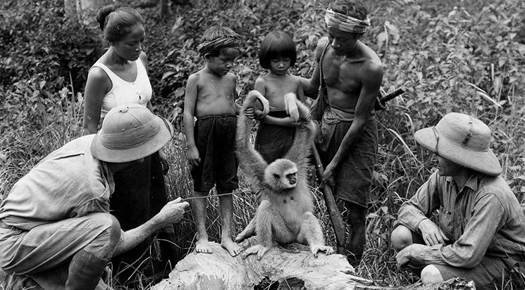 Chang, un drame de la vie sauvage