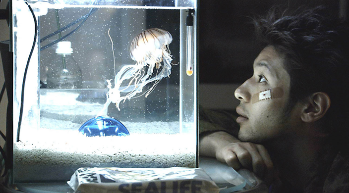 Jellyfish