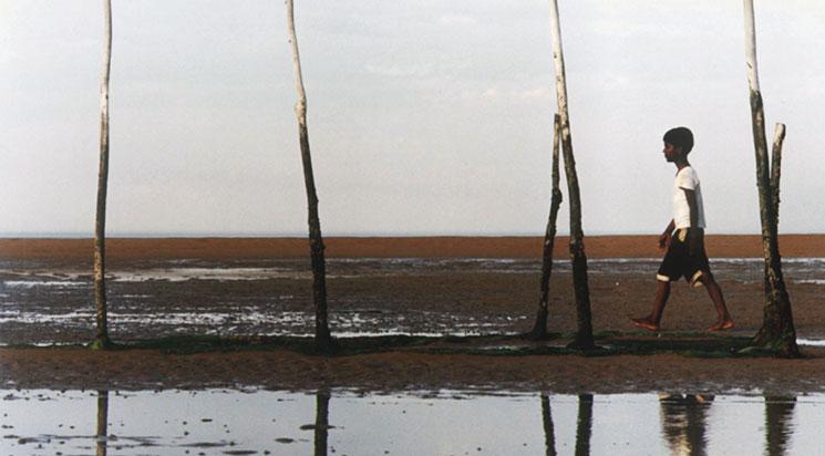 La Vie sur l'eau