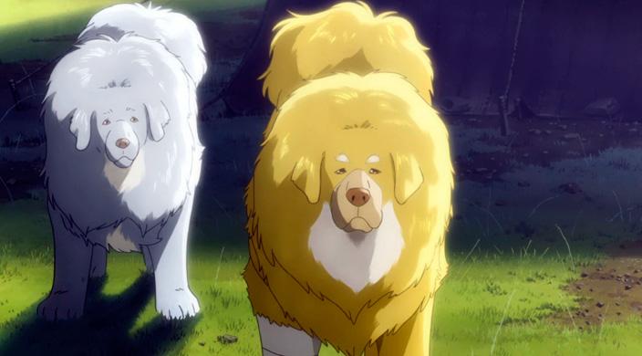 Le Chien du Tibet