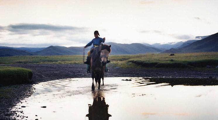 Le Chien jaune de Mongolie