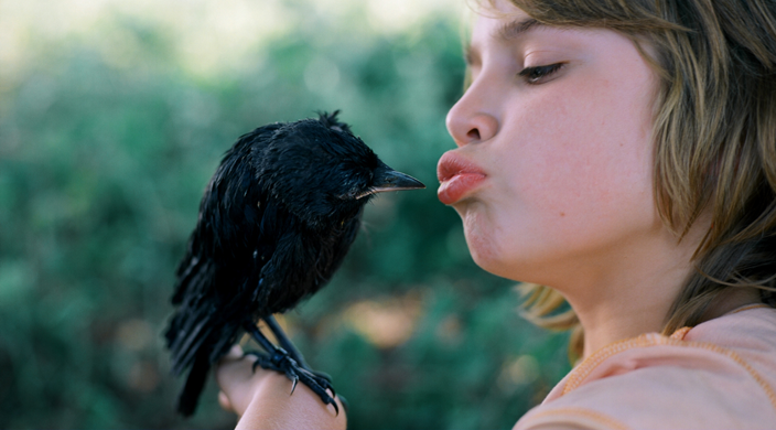 Little Bird