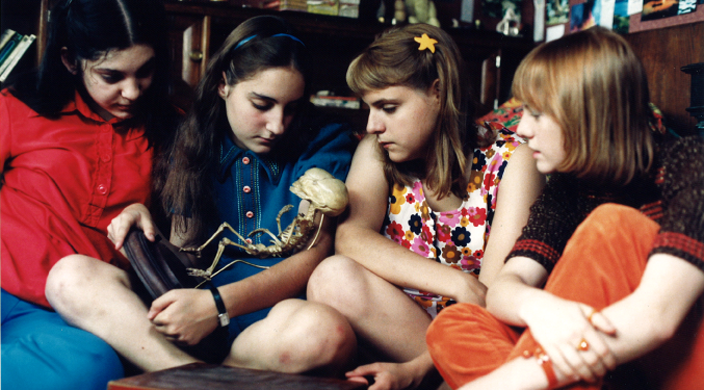 Petites