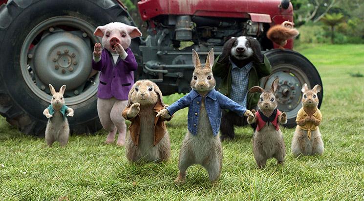 Pierre Lapin