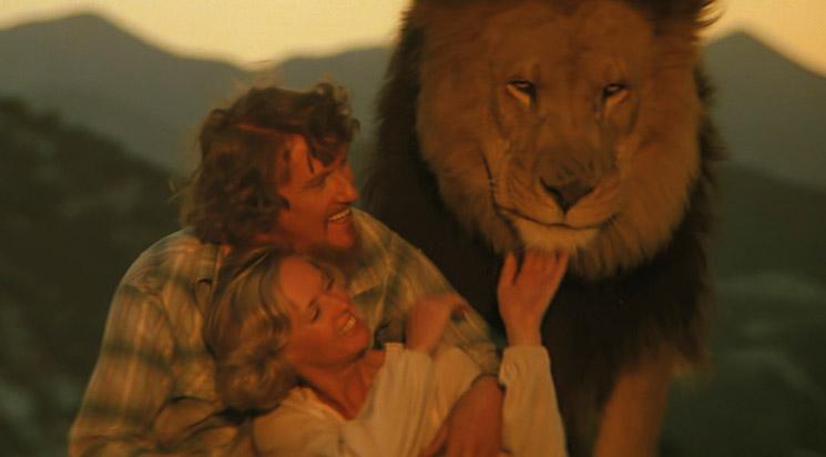 Roar