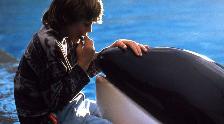 Sauvez Willy