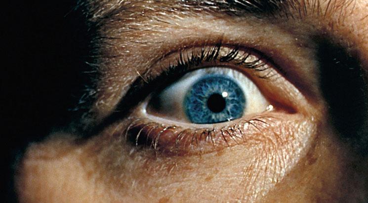 Le Voyeur