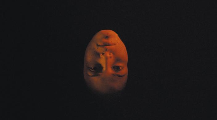 We Are The Flesh