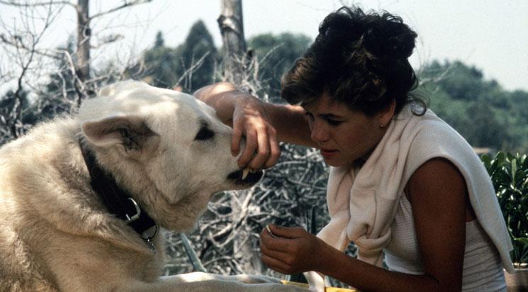 White Dog