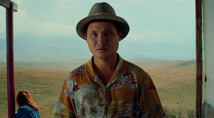 Yellow Cat