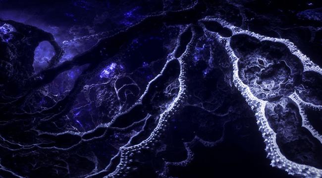  STRANDS OF MIND © Adrian Meyer, Filmakademie Baden-Württemberg 
