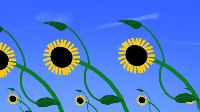 Tournesol-@Folimage