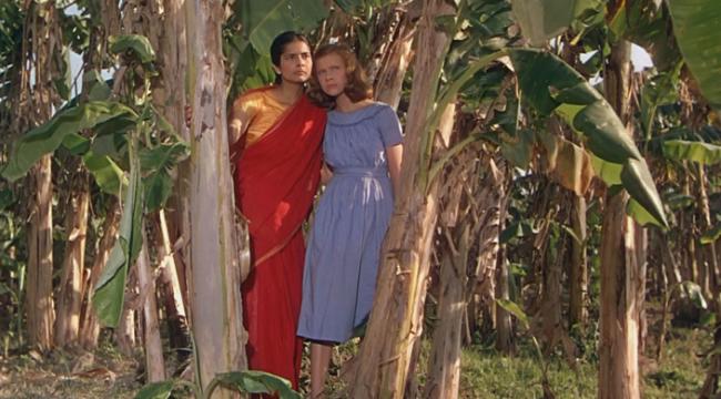 Pleins feux sur Jean Renoir